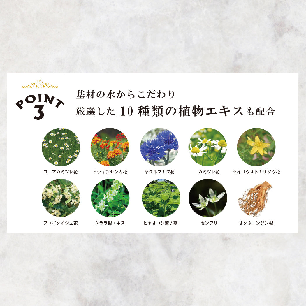 ポイント3:厳選した10種類の植物エキスも配合