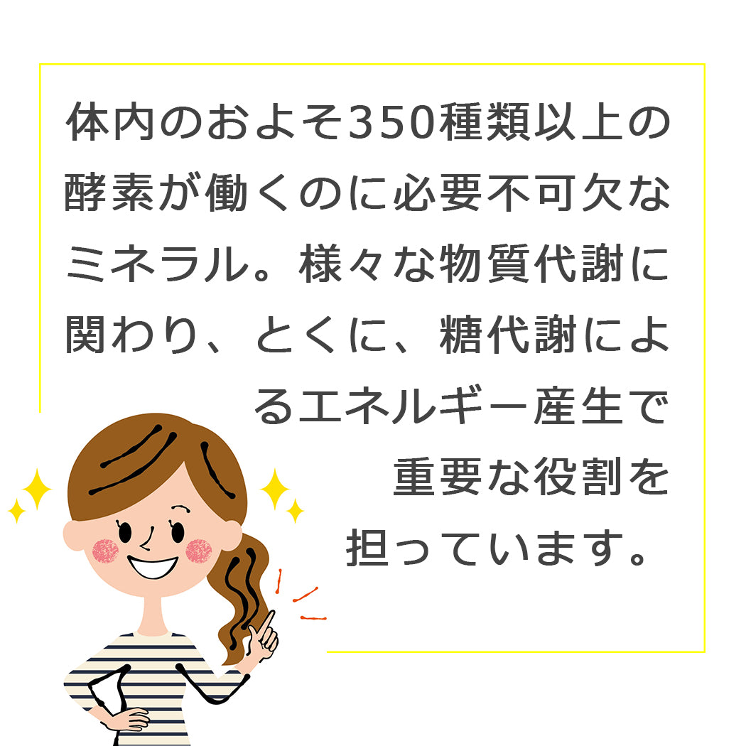 マグネシウムの働き