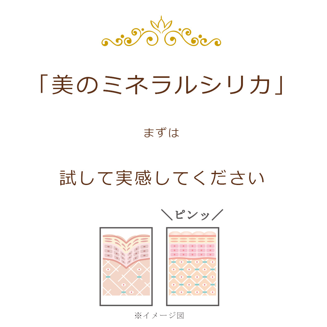 美のミネラルシリカ