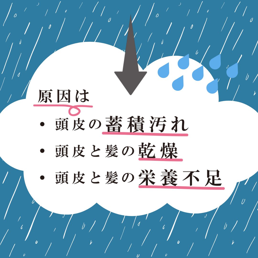 KIYOMIお試しセット