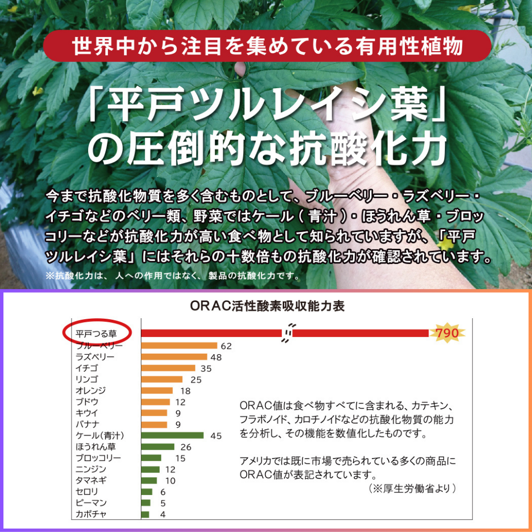 プレミアム マックビー